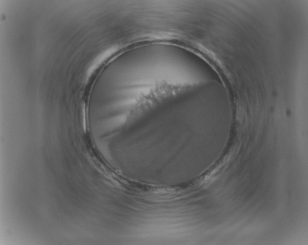 X0000075811171200610061724