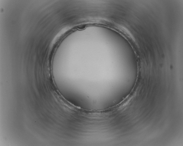 X0000075811172200610061724