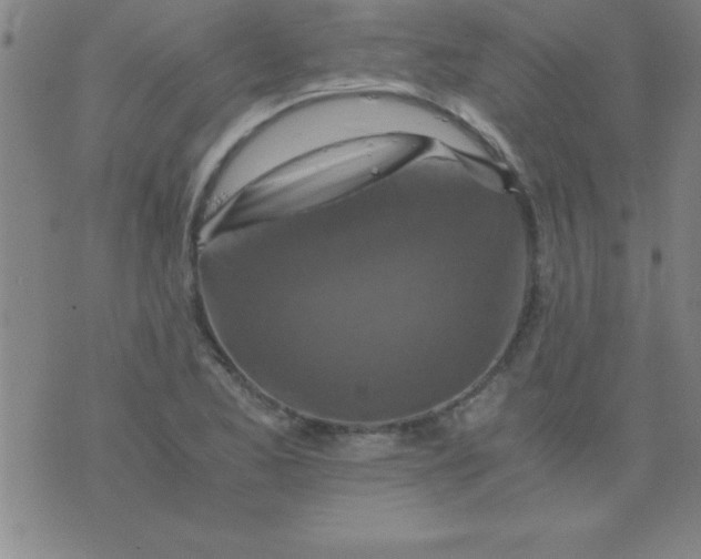 X0000075811173200610061724