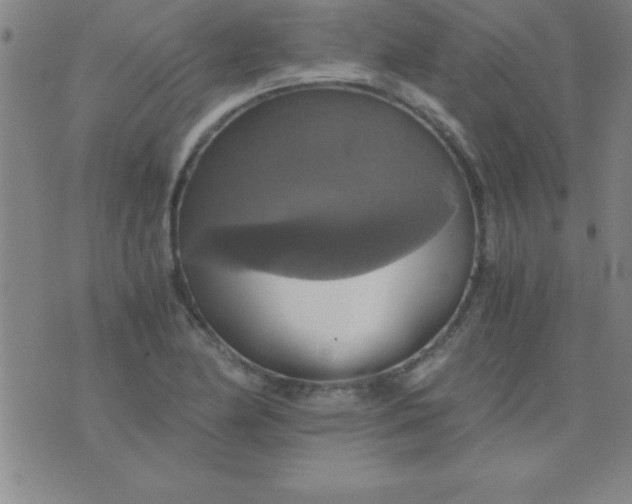 X0000075811174200610061724