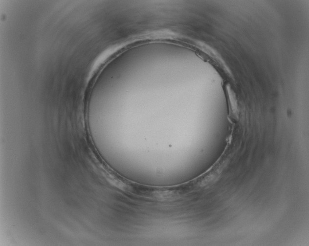 X0000075811176200610061724