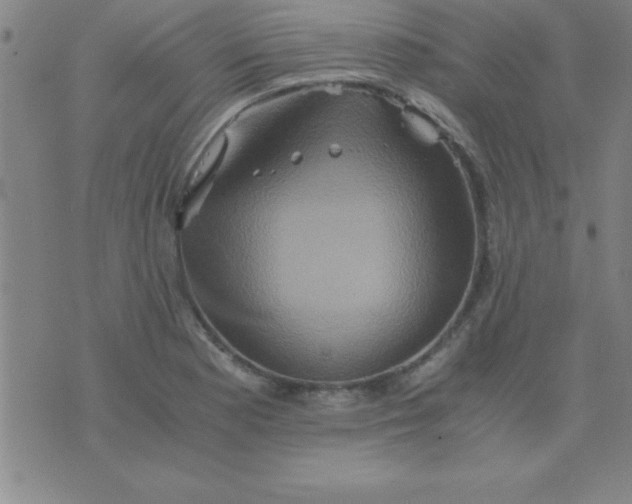 X0000075811177200610061724