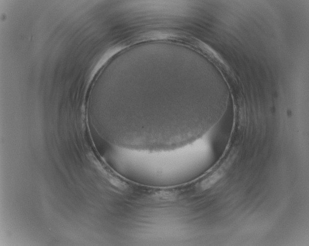 X0000075811178200610061724