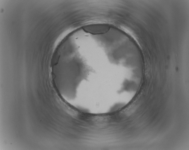 X0000075811179200610061724