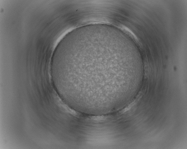 X0000075811182200610061724