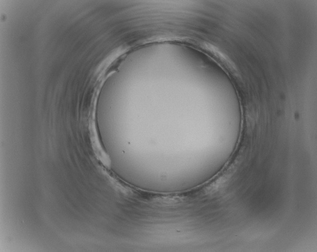 X0000075811185200610061724