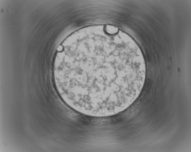 X0000075811187200610061724