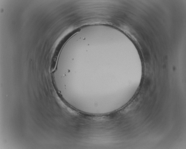 X0000075811189200610061724