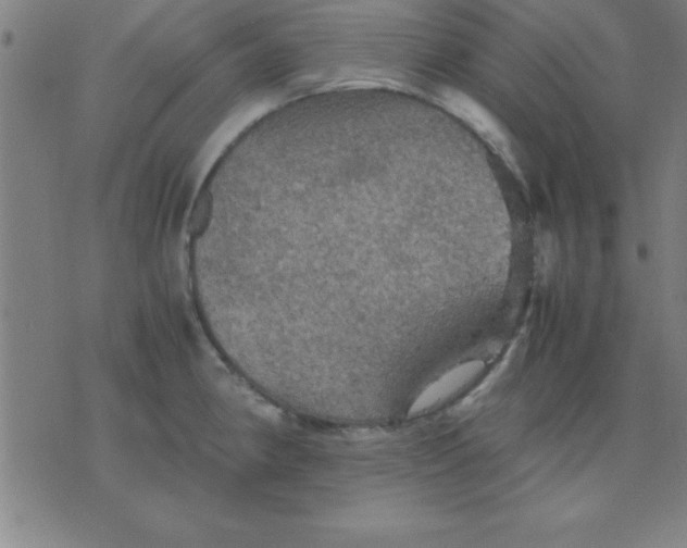 X0000075811190200610061724