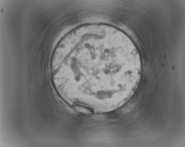 X0000075811191200610061724