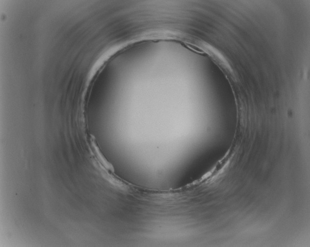 X0000075811192200610061724