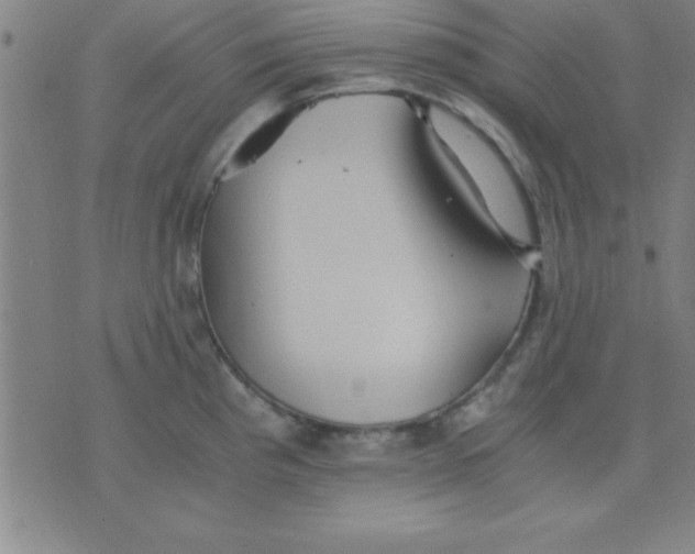 X0000075811193200610061724