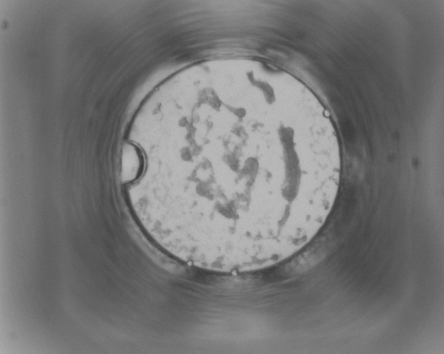 X0000075811195200610061724