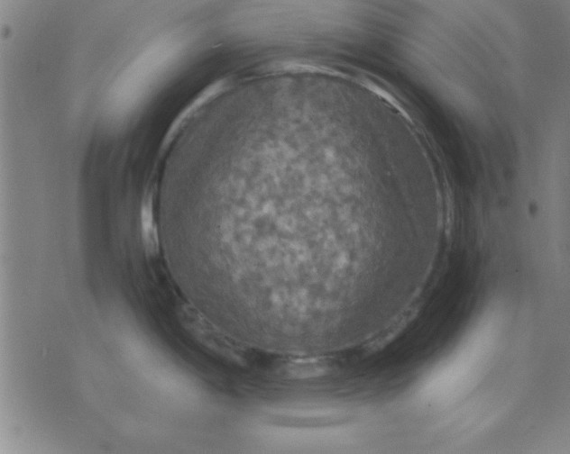 X0000075811198200610061724