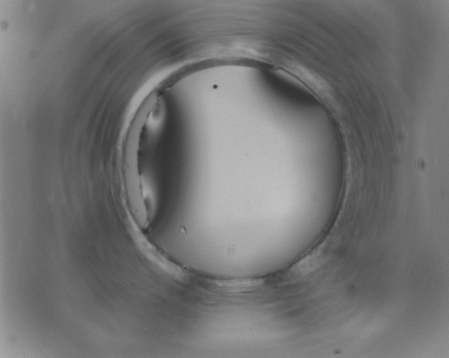 X0000075811200200610061724