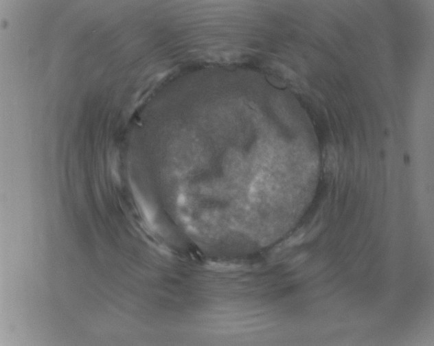 X0000075811202200610061723