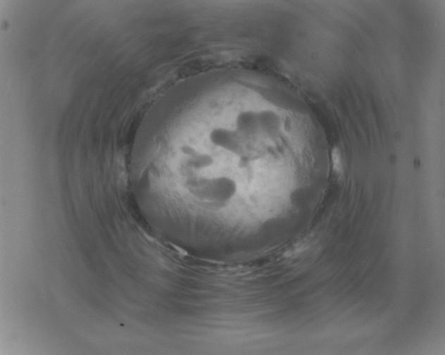 X0000075811203200610061723