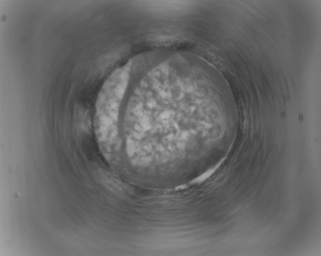 X0000075811204200610061723