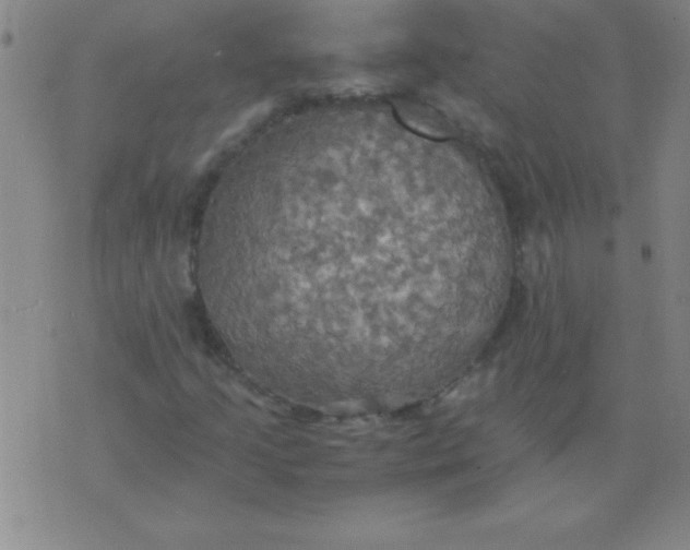 X0000075811205200610061723