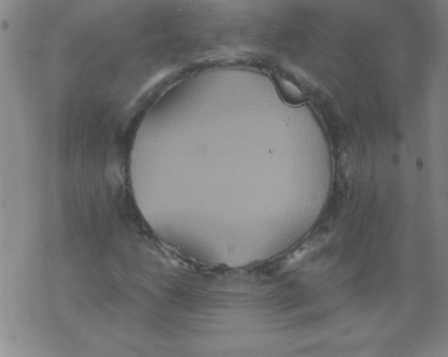 X0000075811206200610061723