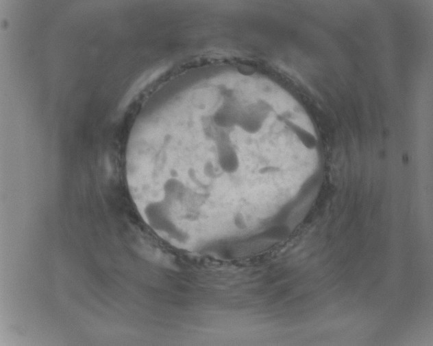 X0000075811207200610061723