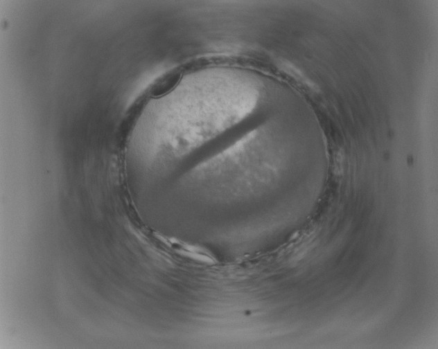 X0000075811208200610061723