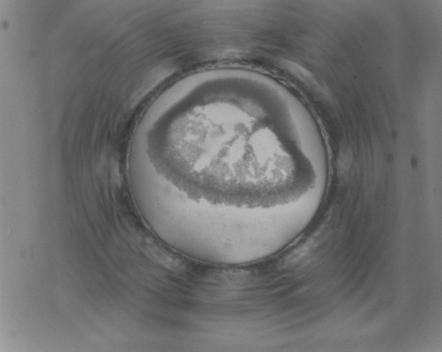 X0000075811209200610061723