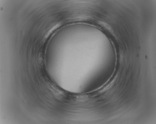 X0000075811210200610061723