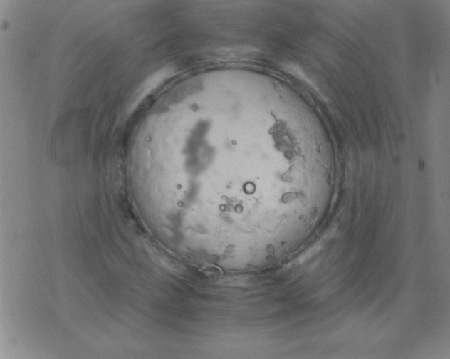 X0000075811211200610061723