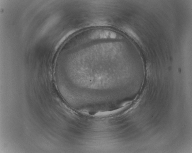 X0000075811212200610061723