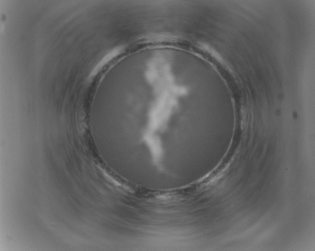 X0000075811213200610061723