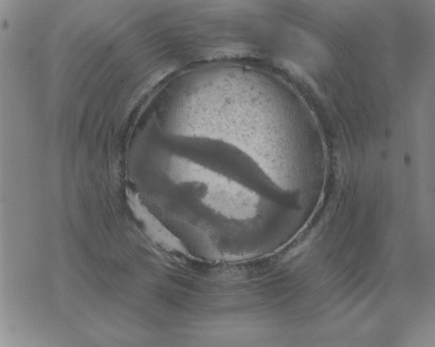 X0000075811217200610061723