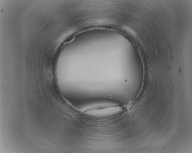 X0000075811218200610061723