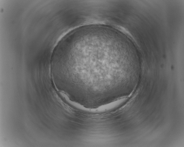 X0000075811220200610061723