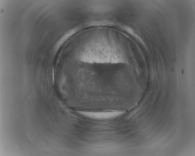 X0000075811221200610061723