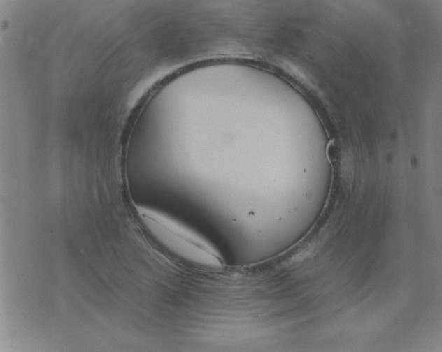 X0000075811222200610061723