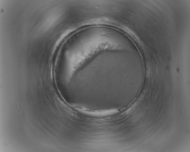 X0000075811224200610061723