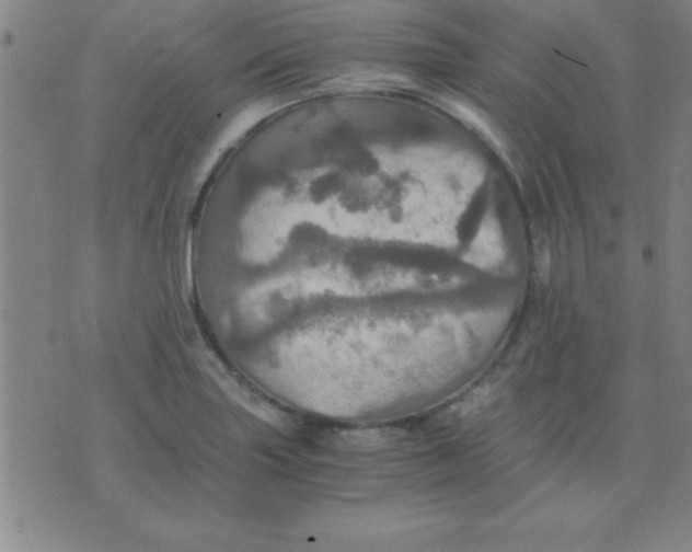 X0000075811227200610061723