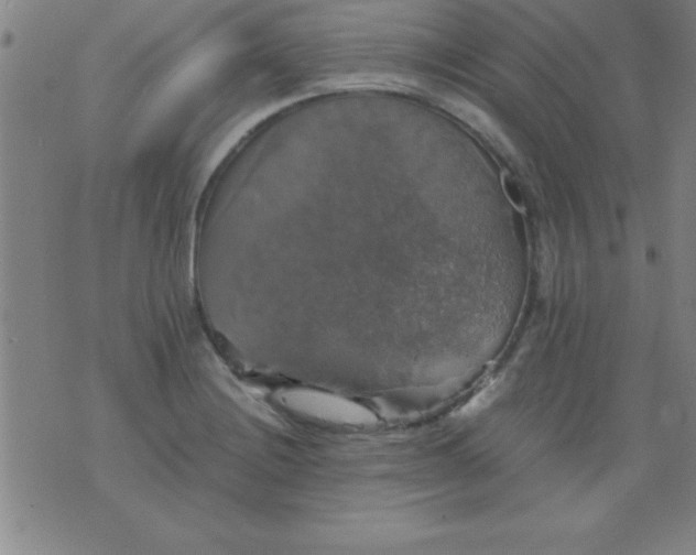 X0000075811228200610061723