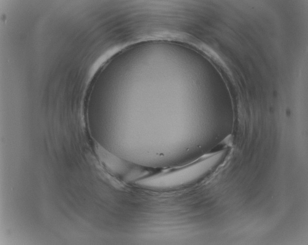 X0000075811230200610061723