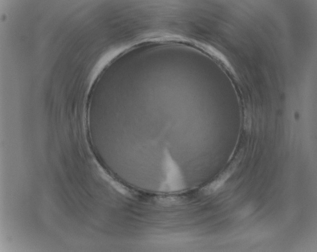 X0000075811231200610061723