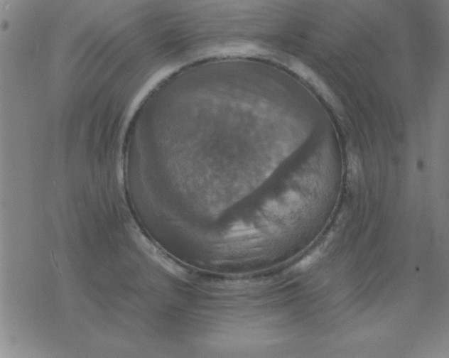 X0000075811232200610061723