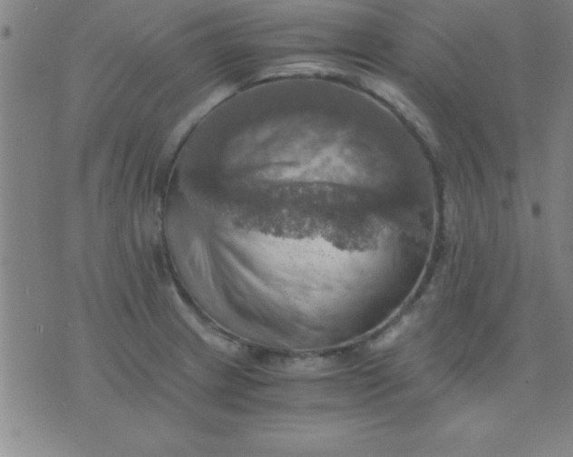 X0000075811233200610061723