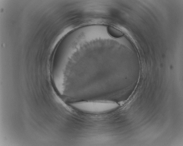 X0000075811235200610061723