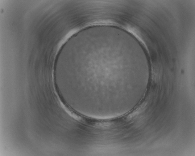 X0000075811237200610061724