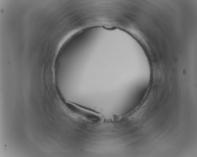 X0000075811238200610061724