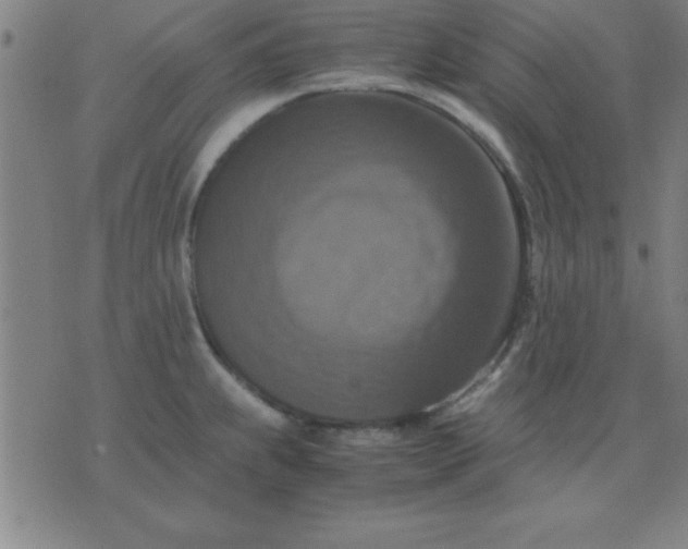 X0000075811239200610061724