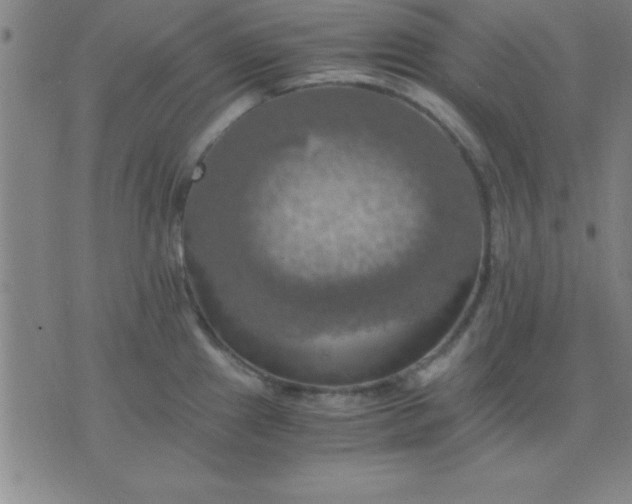 X0000075811241200610061724