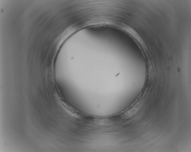 X0000075811242200610061724