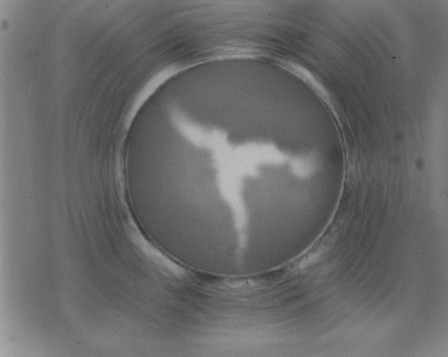 X0000075811243200610061724